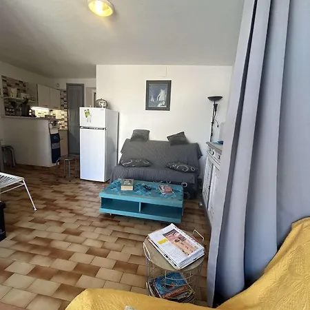 Apartment 2 Pieces - Centre Port - Cap D'agde - Fr-1-249-436